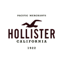 Hollister Co.